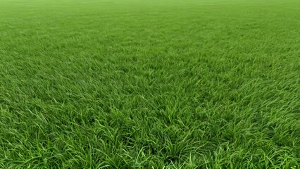 Obraz premium Lush green grass field with fresh blades swaying in the gentle breeze