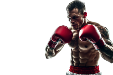 A man in a boxing ring with his hands in the air. on transparent background.