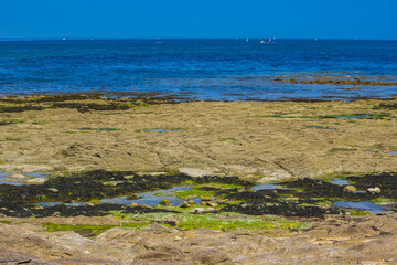 Ocean coast, sea and rocks