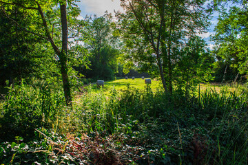 Obraz premium Ocean coast, sea and rocks