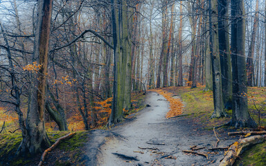 Jesien na Kaszubach © Przemyslaw