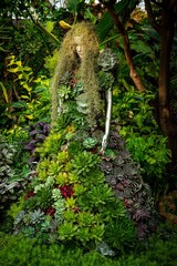 Model with succulents, air plants