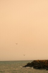 The turbulent sea and birds are flying around.
