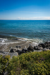 A peaceful beach scene with a clear blue sky, gentle waves lapping the shore, and lush greenery in the foreground.