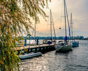 Fototapety na wymiar - Fototapeta24.pl