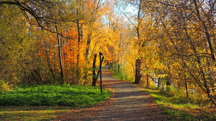 waterloo en automne