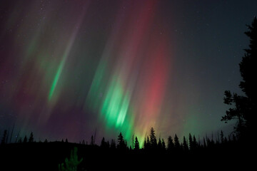 rainbow in the night