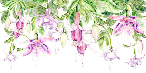 Fuchsia Flower. Bright watercolor illustration hand drawn on a white background. Suitable for decor and textiles.