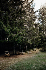 Fototapeta premium bench in the park