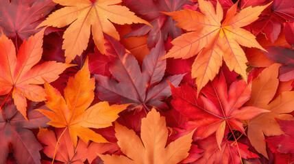 Vibrant Autumn Foliage, a breathtaking display of red and orange leaves, showcasing rich textures, seasonal beauty, and the enchanting colors of fall's transformation.