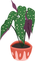 Vector illustration of decorative house plants. White background.