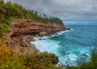 Beautiful coves and beaches with seal colonies, Bonaventure Island National Park, Percé, Gaspésie peninsula, Quebec, Canada