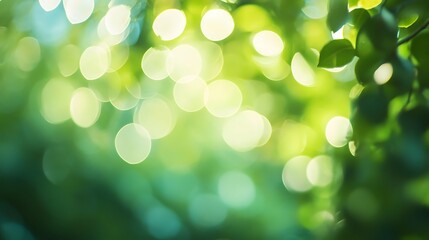 Obraz premium green bokeh background