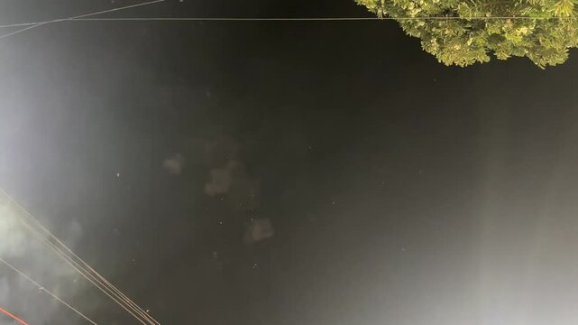Sky shot firecracker in the sky video on the festival of diwali in India. One huge explosion of fireworks with falling threads. Single firework at night. Spectacular single firework 3d render. 