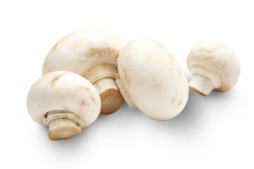 Champignon on a white background