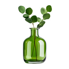 Green glass vase, simple eucalyptus display, minimalistic nature decor, accentuating fresh elegance. Isolated on white background or PNG