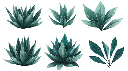 Fototapeta premium Various green plants on a white isolated background. transparent background