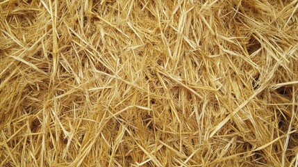 Yellow golden straw bale displaying texture and scattered loose straws