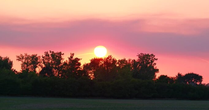 Beautiful orange coloured golden hour sunset with trees swaing in the wind