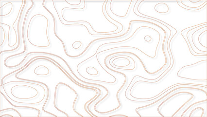 Topographic map. Contour abstract background. Vector illustration.