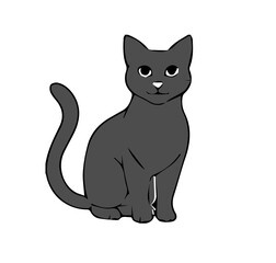 Obraz premium black cat