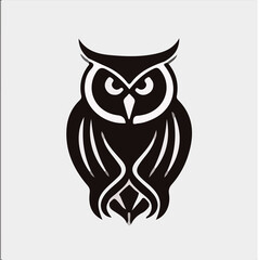 owl on white background