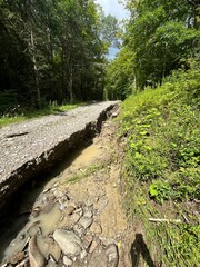 Stone Path / Dirt Road after Storm