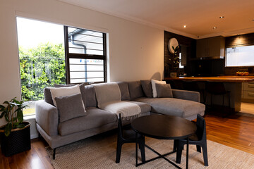 Cozy living room with modern gray sofa and stylish black coffee table, at home