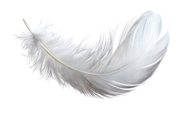 Cute White Feather PNG Background Perfect for Various Digital Projects Including Graphics Design, Websites, and Presentation Slides