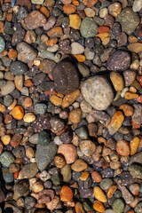 Colorful pebbles and rock submerged in the shallow waters of tide pools in Carmel, California. 