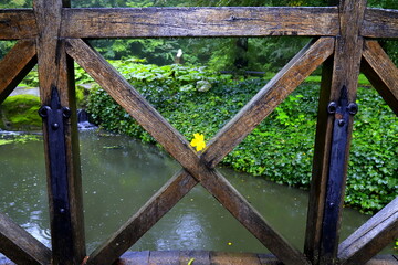 Yellow leaf lies on wooden fence on bridge over small river in autumn park. Leaf fall. Calendar, postcard of seasons,