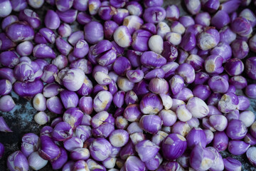 Asian Peeled Red Onion on Close Up Shot