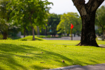 a white golf ball on a tee and a green field ready to be hit with a wood golf stick as a start to a game of golf.