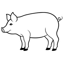 wild boar illustration