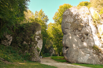 Autumnal forest and white rock,Ojcowski National Park, Ojcow, Poland. High quality photo
