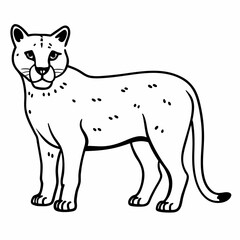 Fototapeta premium Elegant Black and White Vector Illustration of a Puma