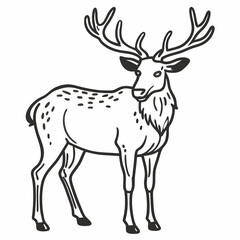 Obraz premium Detailed Black and White Illustration of a Deer with Antlers