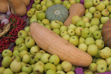 a harvest of vegetables beautifully laid out on the table.