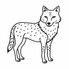 Obraz premium Hand Drawn Wolf Vector Illustration Black and White Line Art