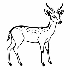 Fototapeta premium Elegant Gazelle Line Art Illustration for Wildlife and Nature Themed Designs