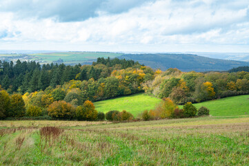 Landscape with green meadow, pasture and forest, countryside in Germany, farmland in summer, Moselle valley in Rhineland Palatinate