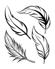 Obraz premium Feather Vector Illustrations with Minimalist Line Art.