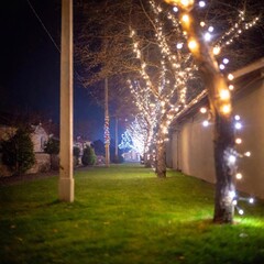 Obraz premium An extreme wide shot of a Christmas lights display in a small village, with every house and tree illuminated in colorful lights, in digital art with shallow focus and eye level shot.
