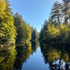 Fototapeta premium A full shot of a quiet river with fish flowing through a forest at eye level, with trees lining the banks and reflections in the water.
