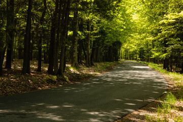 Skyline Road in Peninsula State Park, Fish Creek, Wisconsin