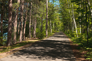 Fototapeta premium Rural country road through Wisconsin north woods along the Trout Lake shoreline, near Boulder Junction, Wisconsin
