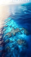 Obraz premium Aerial view of a coral reef, with blue water and brown algae. The camera is positioned above the ocean surface, capturing an expansive aerial perspective of underwater life.