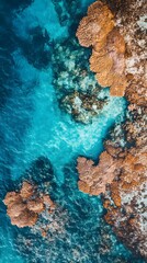 Aerial view of a coral reef, with blue water and brown algae. The camera is positioned above the ocean surface, capturing an expansive aerial perspective of underwater life.