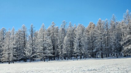 Winter in Northern Mongolia