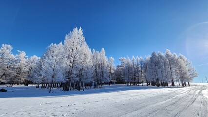 Winter in Northern Mongolia